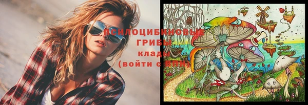COCAINE Медвежьегорск