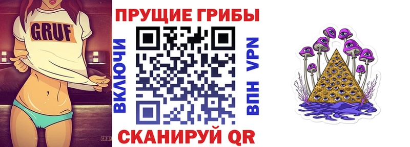 Купить  Алатырь  Псилоцибиновые грибы мицелий 