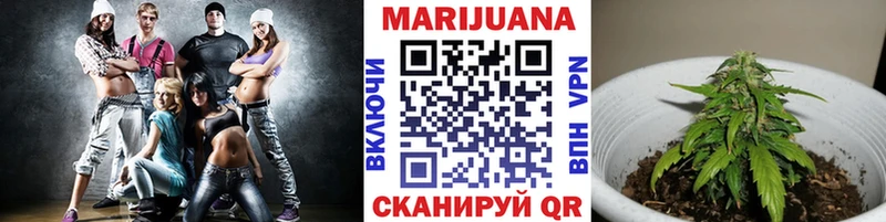 Каннабис Amnesia  Купить где  Алатырь